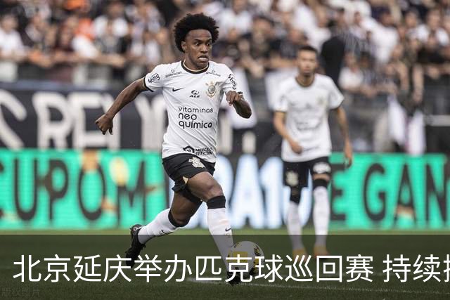 北京延庆举办匹克球巡回赛 持续擦亮户外运动城市名片